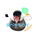ぶんたろうくんのスタンプ①（個別スタンプ：16）