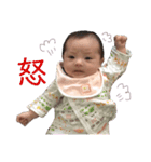 MVS3（個別スタンプ：5）