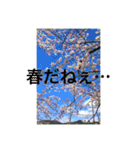 くみこの写真スタンプ（個別スタンプ：1）