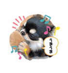 ピノさんと仲間達（個別スタンプ：3）