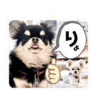 ピノさんと仲間達（個別スタンプ：5）