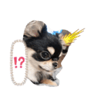 ピノさんと仲間達（個別スタンプ：10）