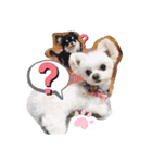 ピノさんと仲間達（個別スタンプ：11）
