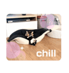 ピノさんと仲間達（個別スタンプ：12）