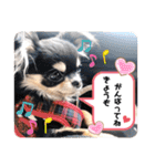 ピノさんと仲間達（個別スタンプ：13）