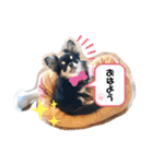 ピノさんと仲間達（個別スタンプ：14）