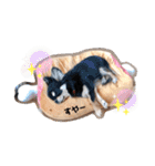 ピノさんと仲間達（個別スタンプ：16）