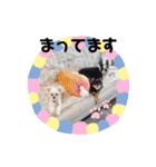 ピノさんと仲間達（個別スタンプ：18）