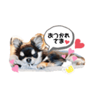 ピノさんと仲間達（個別スタンプ：19）