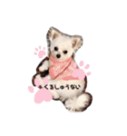 ピノさんと仲間達（個別スタンプ：23）