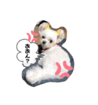 ピノさんと仲間達（個別スタンプ：26）