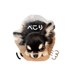 ピノさんと仲間達（個別スタンプ：31）