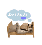 とろさくスタンプ（個別スタンプ：7）