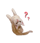 まめちんだよ（個別スタンプ：2）