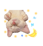 まめちんだよ（個別スタンプ：7）