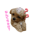 だぴちゃんno.1（個別スタンプ：6）