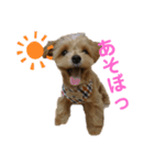 だぴちゃんno.1（個別スタンプ：8）
