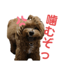 だぴちゃんno.1（個別スタンプ：13）