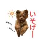 だぴちゃんno.1（個別スタンプ：16）