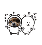 tixyoko チョコ（個別スタンプ：5）