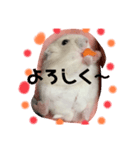 同じ写真だけど毎日使えるいろいろスタンプ（個別スタンプ：3）