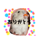 同じ写真だけど毎日使えるいろいろスタンプ（個別スタンプ：4）