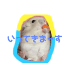 同じ写真だけど毎日使えるいろいろスタンプ（個別スタンプ：6）