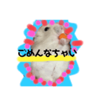 同じ写真だけど毎日使えるいろいろスタンプ（個別スタンプ：8）