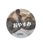 ももろこスタンプ②（個別スタンプ：3）