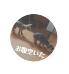 ももろこスタンプ②（個別スタンプ：4）
