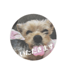 ももろこスタンプ②（個別スタンプ：7）