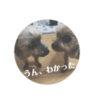 ももろこスタンプ②（個別スタンプ：9）