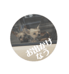 ももろこスタンプ②（個別スタンプ：12）