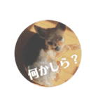 ももろこスタンプ②（個別スタンプ：14）