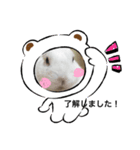 うさぎっズのかわいいスタンプ（個別スタンプ：2）
