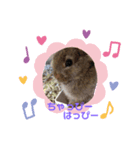 うさぎっズのかわいいスタンプ（個別スタンプ：5）