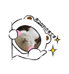 うさぎっズのかわいいスタンプ（個別スタンプ：7）