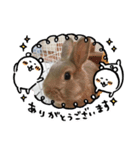 うさぎっズのかわいいスタンプ（個別スタンプ：8）