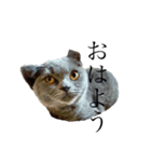 ビビ①（個別スタンプ：3）