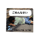 ちゃいと（個別スタンプ：15）