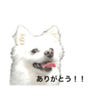 テトのまいにち（個別スタンプ：10）