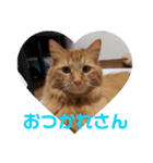 おかきくんのかきちゃんすたんぷ（個別スタンプ：1）