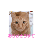 おかきくんのかきちゃんすたんぷ（個別スタンプ：4）
