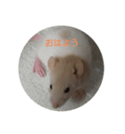 大西家のラットさん（個別スタンプ：3）