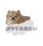 ちょこらっと（個別スタンプ：4）