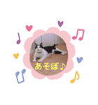 黒助さんの日常（個別スタンプ：6）