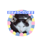 黒助さんの日常（個別スタンプ：8）