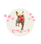 うちのボビー♪（個別スタンプ：16）