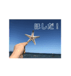 生き物のスタンプ。（個別スタンプ：16）