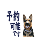 part002 Happy dog（個別スタンプ：16）